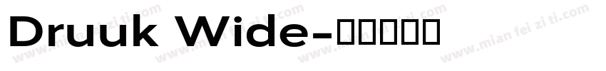 Druuk Wide字体转换